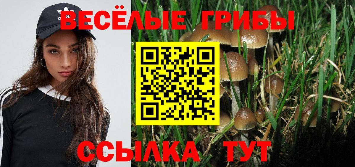 Псилоцибиновые грибы прущие грибы  Вход с VPN  Псилоцибиновые грибы Magic Shrooms  Миллерово 